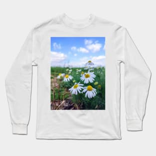 Camomile Field Long Sleeve T-Shirt